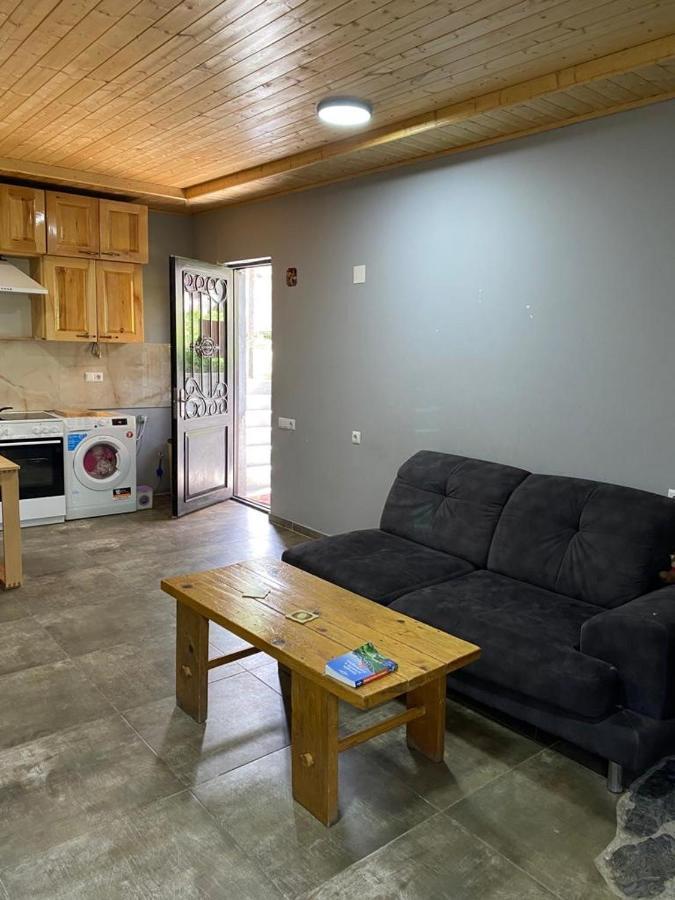 Sana Guest House Mestia Extérieur photo